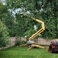 Best Tree Disease Treatment  in Riverdale, NJ