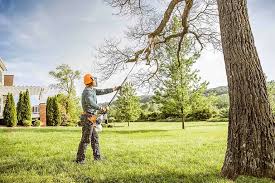 Best Aeration Services  in Riverdale, NJ