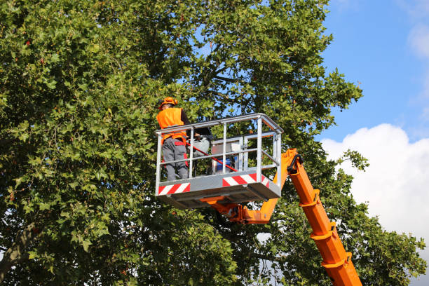 Mulching Services in Riverdale, NJ