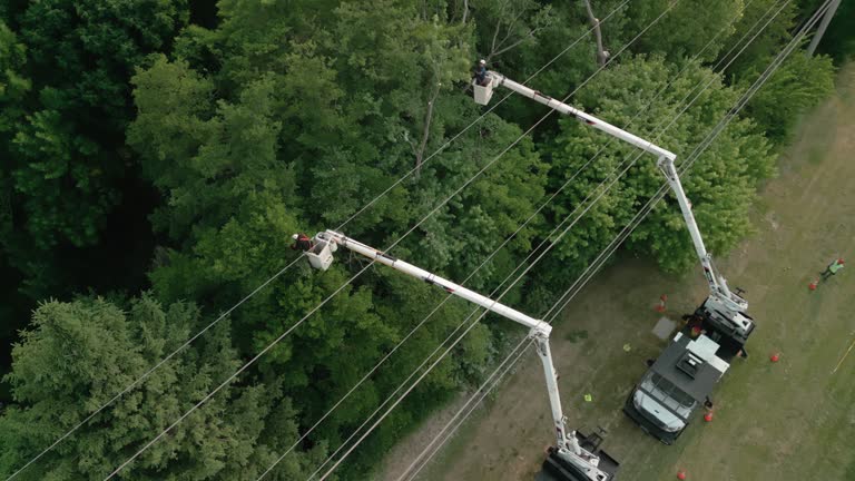 Best Seasonal Cleanup (Spring/Fall)  in Riverdale, NJ